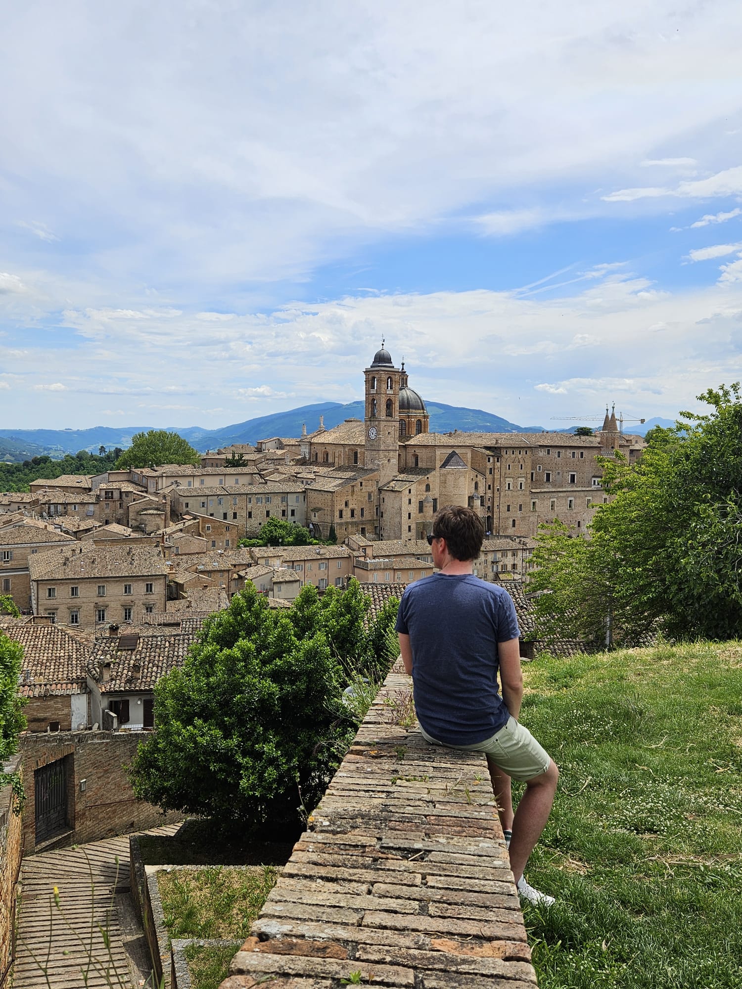Harry van den Broek - Over mij